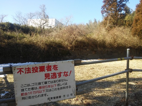山田の放棄住宅地 (6)
