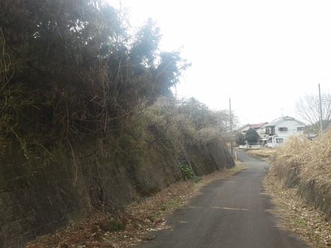 津富浦の北向き分譲地 (15)